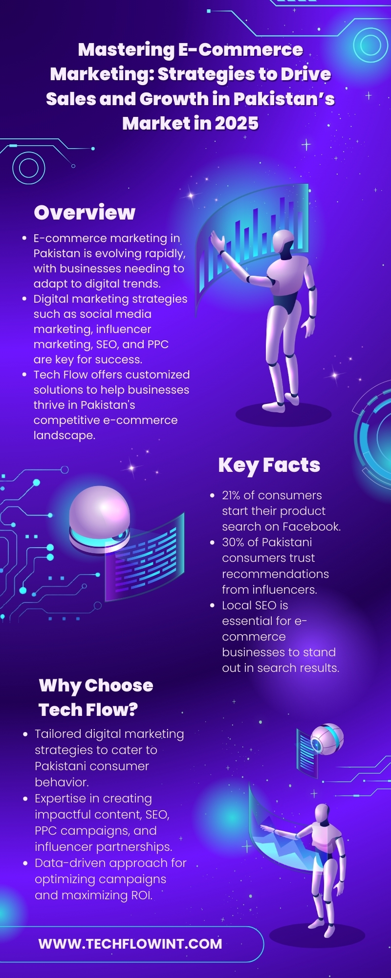 Mastering E-Commerce Marketing Strategies to Drive Sales and Growth in Pakistan’s Market in 2025 Infographic