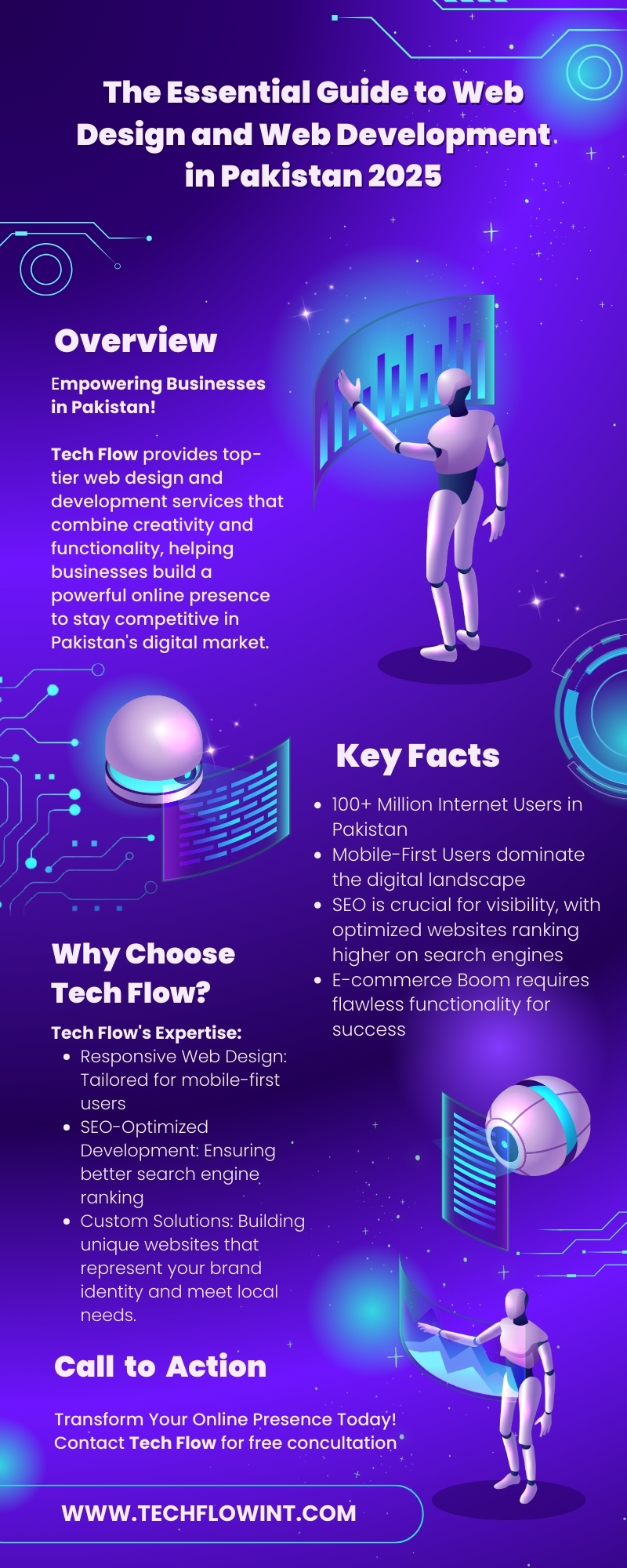 The Essential Guide to Web Design and Web Development in Pakistan 2025 Infographic