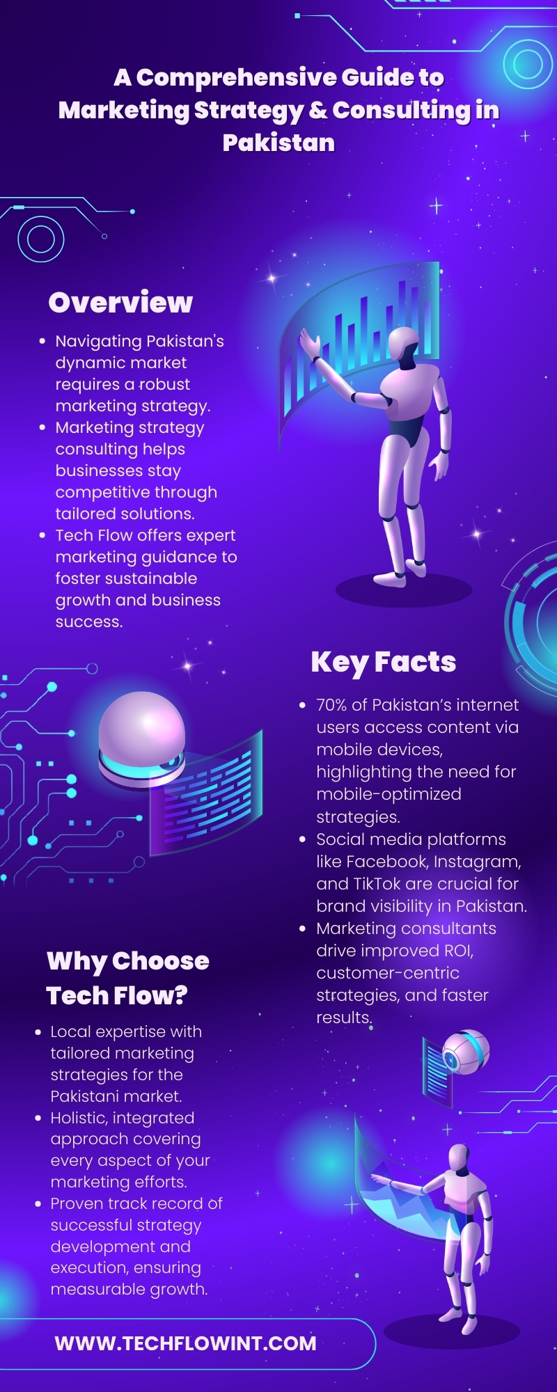 A Comprehensive Guide to Marketing Strategy & Consulting in Pakistan Infographic