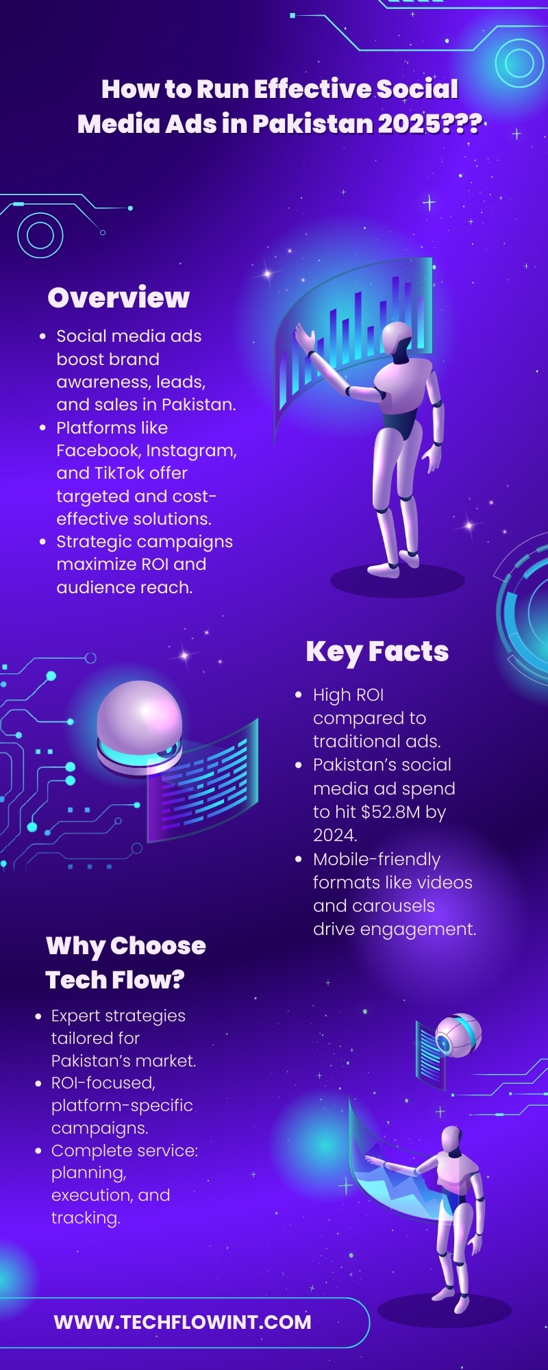 How to Run Effective Social Media Ads in Pakistan 2025 Infographic